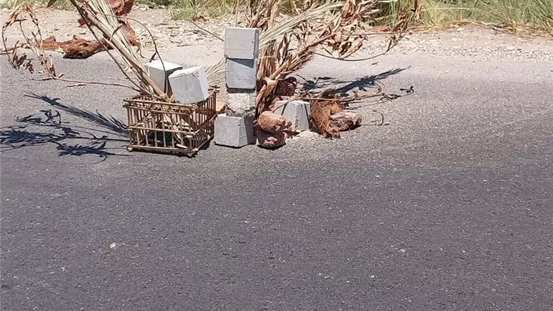 حفرة تهدد حياة المواطنين بطريق نجع الجسور بالأقصر.. والأهالي يستغيثون | تفاصيل