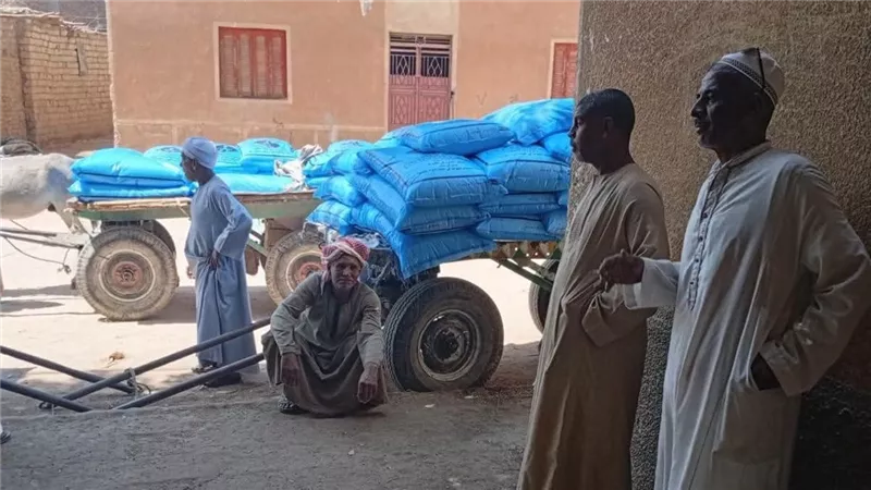 زراعة الأقصر ترفع جاهزية الجمعيات الزراعية قبل موسم الحصاد