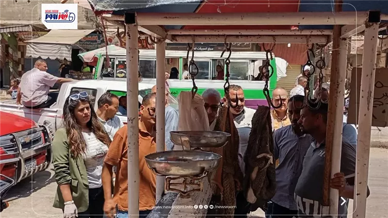 حملة تموينية جنوب المنيا تضبط 6 مخالفات وتتحفظ على 12.5 كيلو لحوم