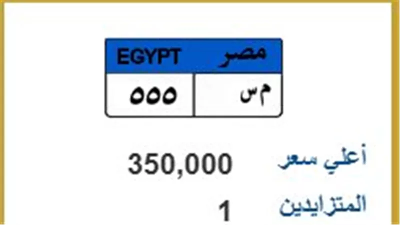 350 ألف جنيه.. لوحة «م س 555» تتصدر مزاد اللوحات المميزة