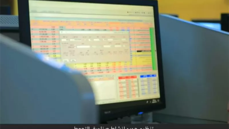 سالي جورج: صناديق الاستثمار تتيح الاستفادة من خبرات المتخصصين دون متابعة