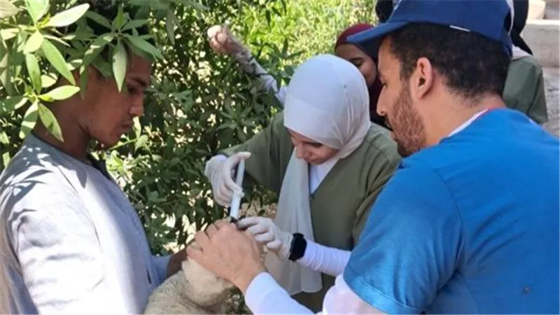 محافظ أسيوط: علاج 1750 حالة خلال قافلة بيطرية مجانية بقرية الواسطي بمركز الفتح