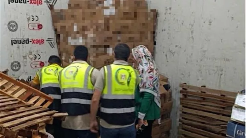 ضبط 2 طن كبدة فاسدة داخل ثلاجة بالسنطة قبل طرحها بالأسواق