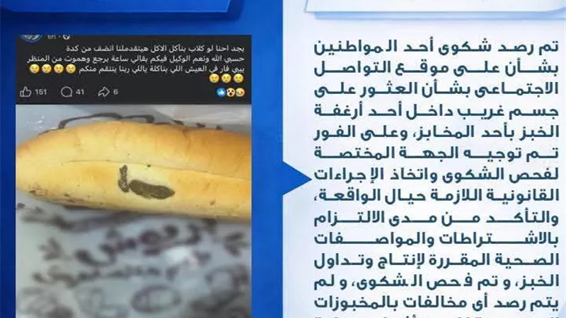 محافظة السويس تكشف حقيقة «فضلات فأر» داخل رغيف فينو بأحد المخابز