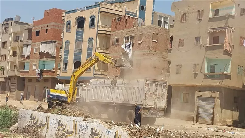 580 طن مخلفات و 95 طن قمامة.. حملات مكثفة لتحسين البيئة في 5 محافظات