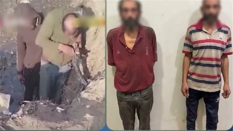 القبض على شخصين حاولا سرقة كابل كهرباء بالقليوبية     