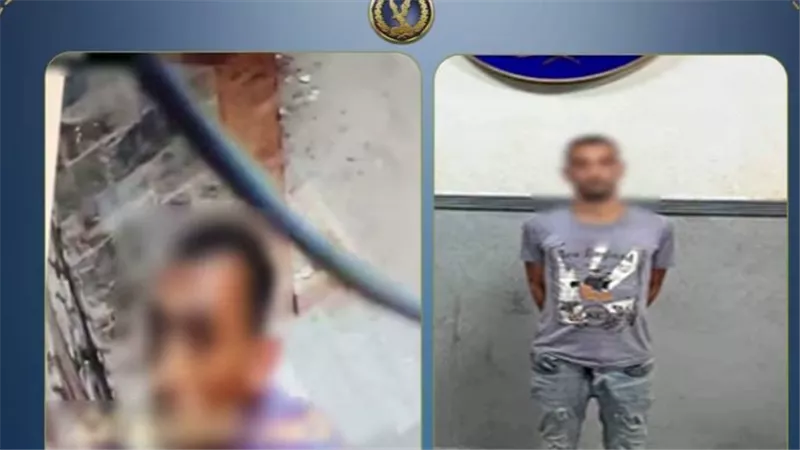 فشل في السرقة بعد افتضاح أمره.. ضبط عاطل أتلف كاميرات عقار بالعامرية