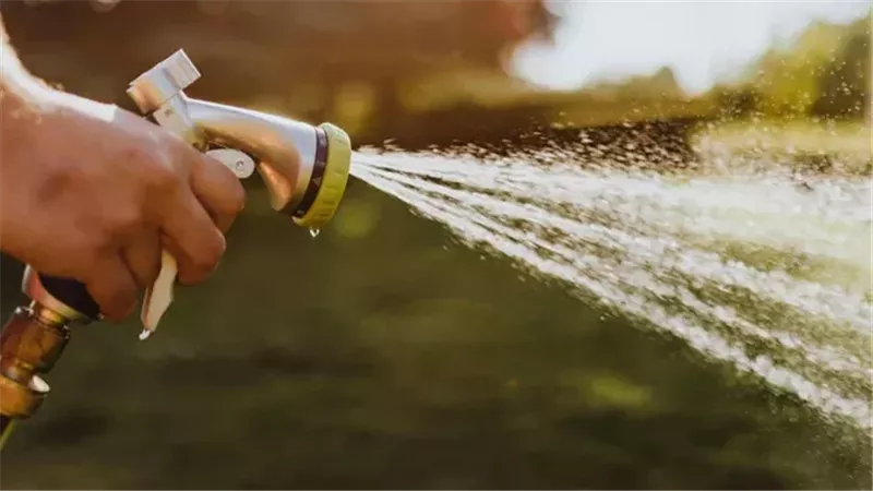 احترسي من ري بعض الأجزاء.. خطأ شائع يمكن أن يكلفك حياة نباتات شرفتك