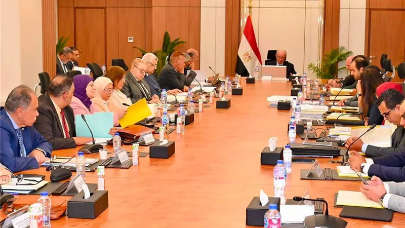 القابضة للأدوية تستهدف إيرادات 18.9 مليار جنيه وأرباحاً بـ 3.6 مليار