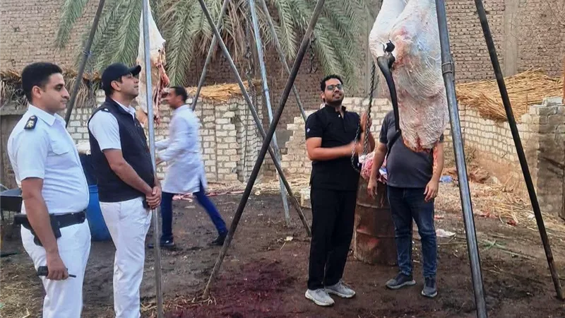 ضبط أكثر من طن لحوم غير صالحة للاستهلاك الآدمي بسوق الهجارسة بسوهاج 
