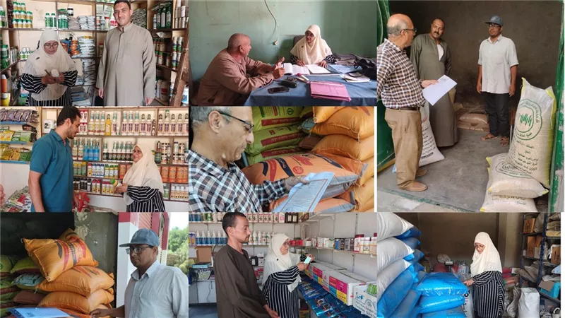 ضبط 50 عبوة مبيدات غير مصرح بتداولها وغير مسجلة بحملة بالواسطى وناصر بنى سويف 