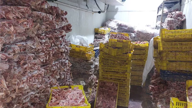 ضبط 28 طن أغذية فاسدة و36 ألف زجاجة مشروبات طاقة مجهولة المصدر بالجيزة