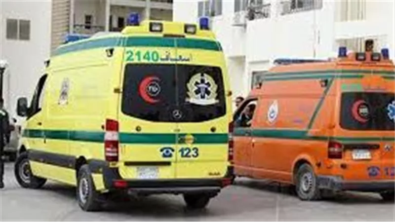 وفاة منسق السفارة الفلسطينية وسائقه وإصابة 5 من أسرته في حادث بشمال سيناء
