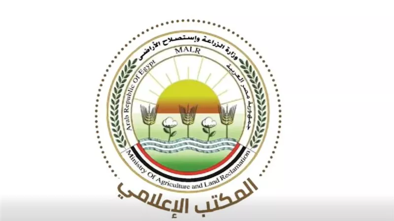 فيديو|
