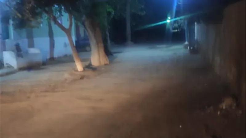 محافظ أسيوط: رفع كفاءة الإنارة العامة بطريق السلخانة وعزبة البضايعة بساحل سليم
