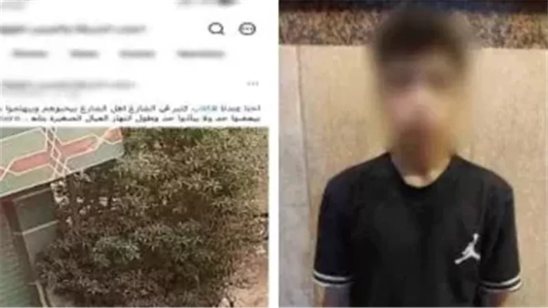 اعتدى على كلب بدعوى اللهو.. القبض على عاطل في القليوبية