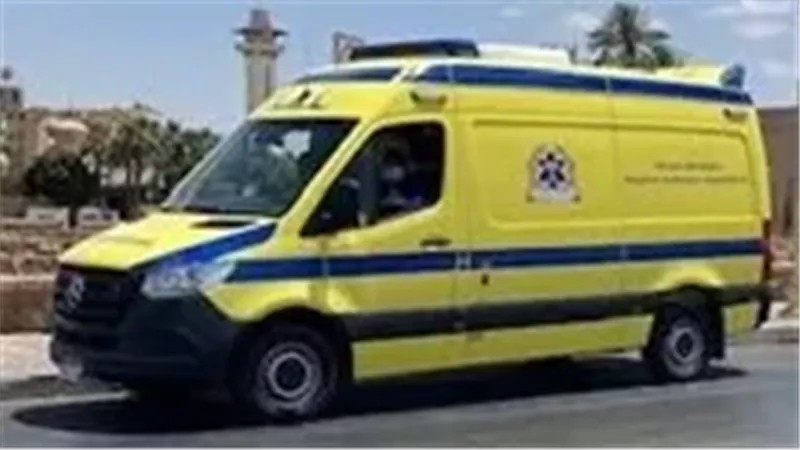 خلافات قديمة تنتهي بجريمة قتل في القرنة.. مصرع مسن طعنًا داخل منزله بالأقصر