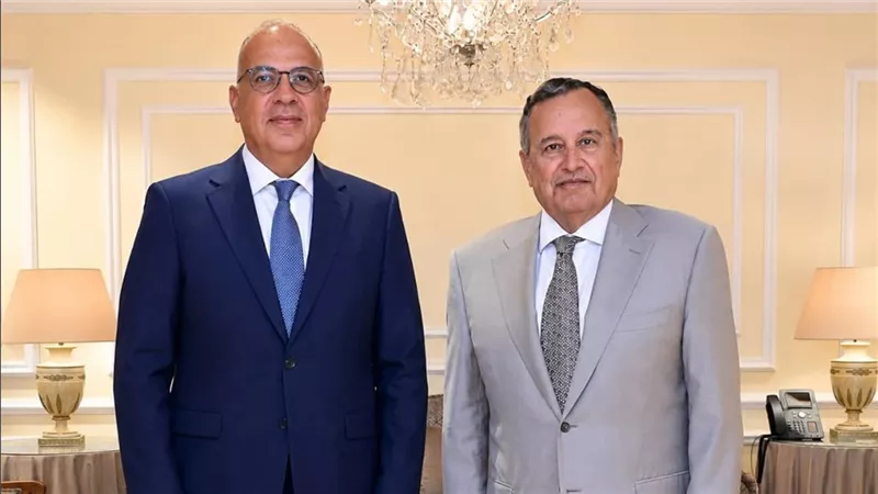 سويلم يبحث مع أمين عام جامعة الدول العربية تعزيز التعاون لتحقيق الأمن المائي العربي 