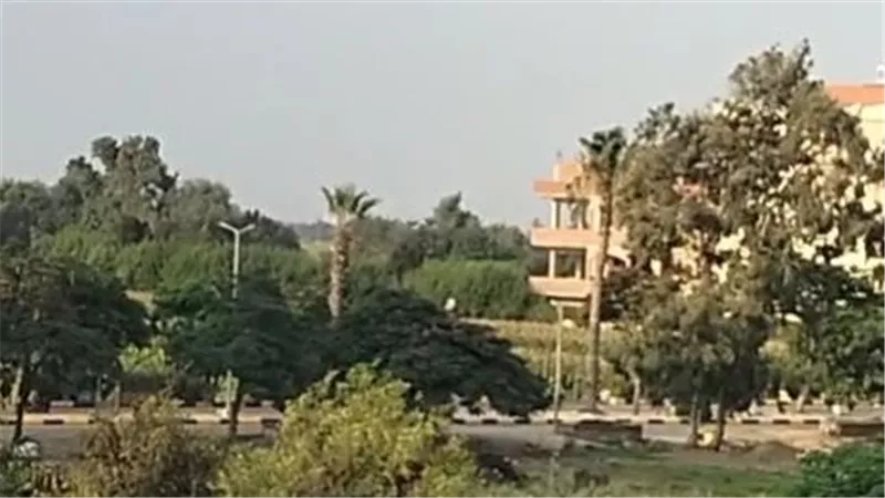 جريمة تهز قرية إسطنها بالمنوفية.. وفاة سيدة والمتهم يحاول إنهاء حياته
