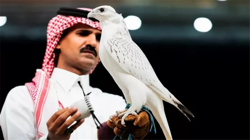 حطم أرقام 2026.. أغلى صقر بالتاريخ يُباع  في مزاد الرياض بالسعودية 