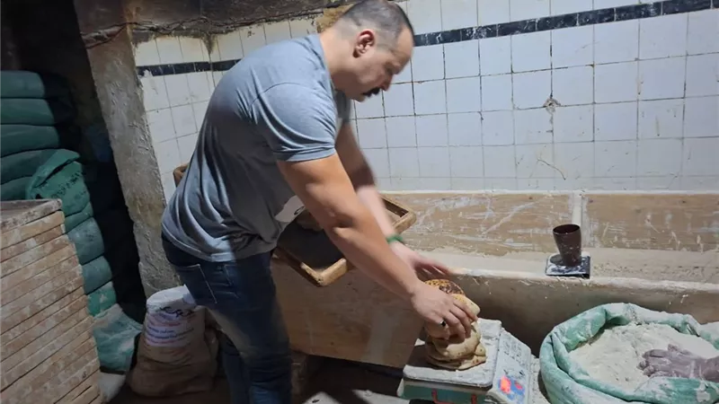 ضربات رقابية لضبط منظومة الخبز المدعم بالغربية .. 27 محضرًا خلال حملات مكثفة 