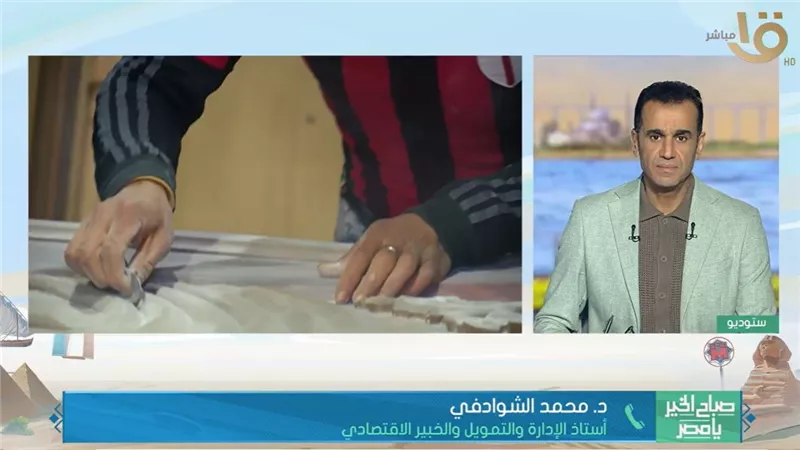 26 ألف شركة جديدة تدعم الاقتصاد المصري.. خبير يكشف خريطة الاستثمار