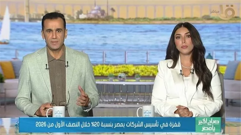 تأسيس الشركات في مصر يقفز 20% خلال 6 أشهر.. خبير يكشف السبب