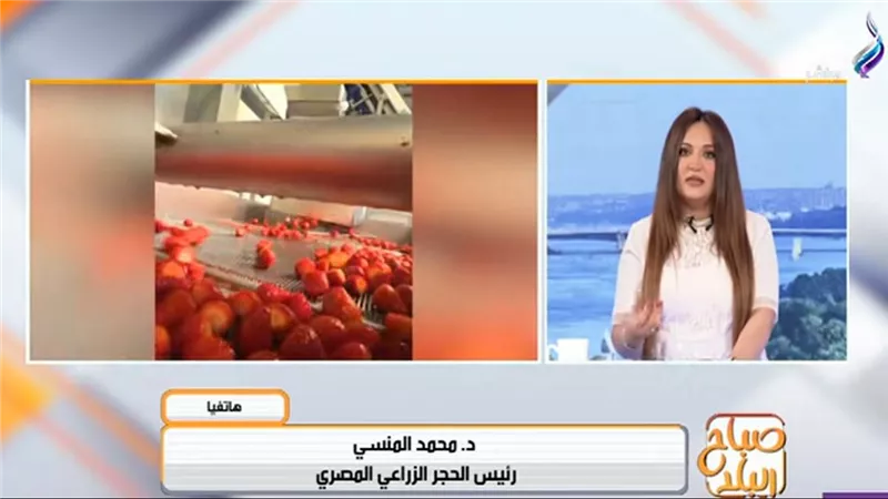 مصر تتصدر صادرات الفراولة المجمدة عالميًا بـ690 مليون دولار