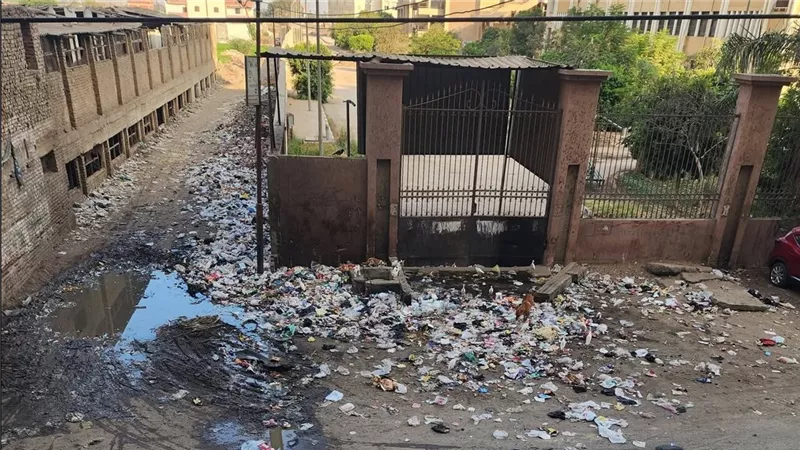 تراكم القمامة بجوار كلية حقوق بنها يهدد الأهالي والطلاب.. ومطالب بالتدخل 