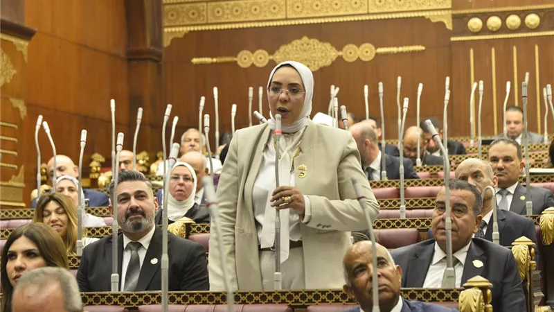 النائبة وفاء رشاد: الأمن المائي المصري حق وجودي لا يقبل المقايضة أو التنازل