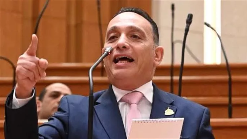 البياضي يسائل الحكومة عن ملاحظات «الضبعة»: حماية المشروع لا تكون بالتعتيم