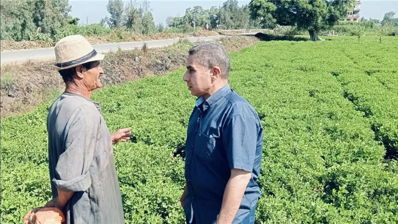 جولة تفقدية.. وكيل زراعة كفر الشيخ يتابع محصولي القطن والأرز | صور