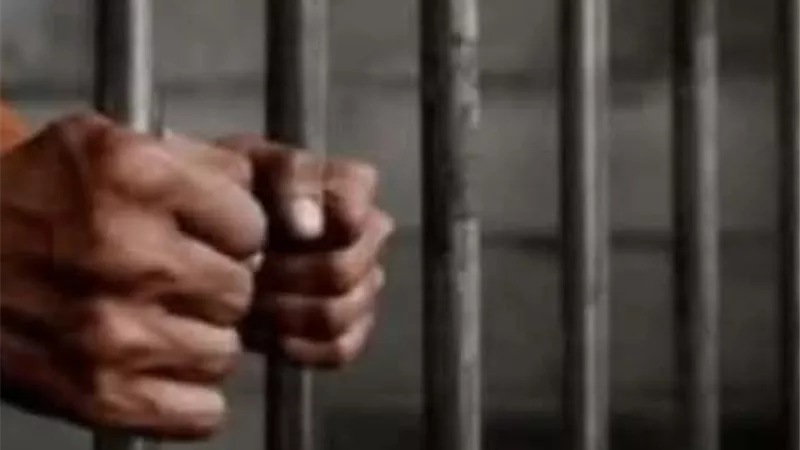 حبس متهمين بالاتجار في المواد المخدرة واستغلال سيارة شركة بالبحيرة