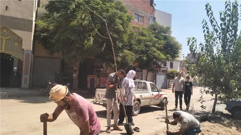 شباب بمحافظة المنوفية يطلقون مبادرة زراعة 50 شجرة بقرية سنجرج