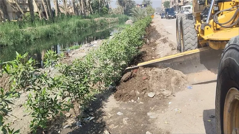 محافظ الجيزة: زراعة 3350 شجرة بأبو النمرس ضمن مبادرة «ازرع شجرة»