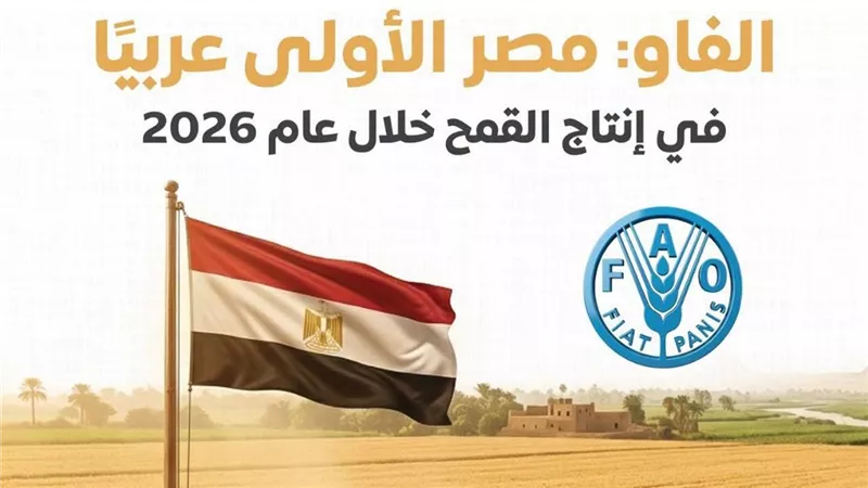 المركز الإعلامي لمجلس الوزراء:مصر الأولى عربيًا في إنتاج القمح خلال عام 2026 