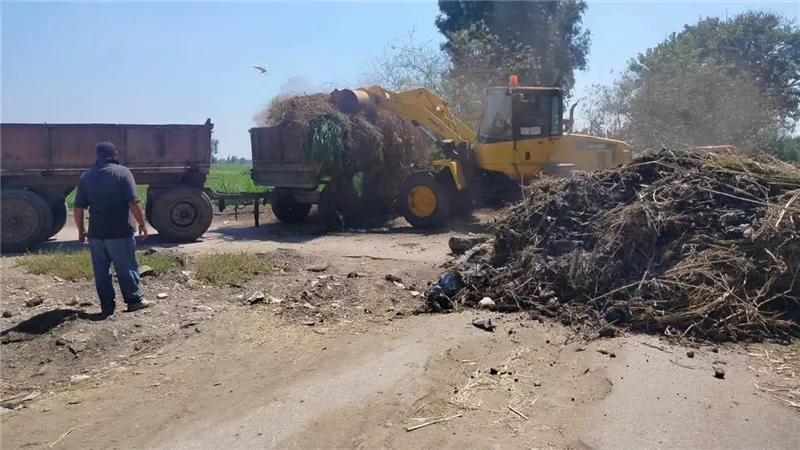 حملة نظافة مكبرة في 4 قرى بمركز بيلا بكفر الشيخ| صور