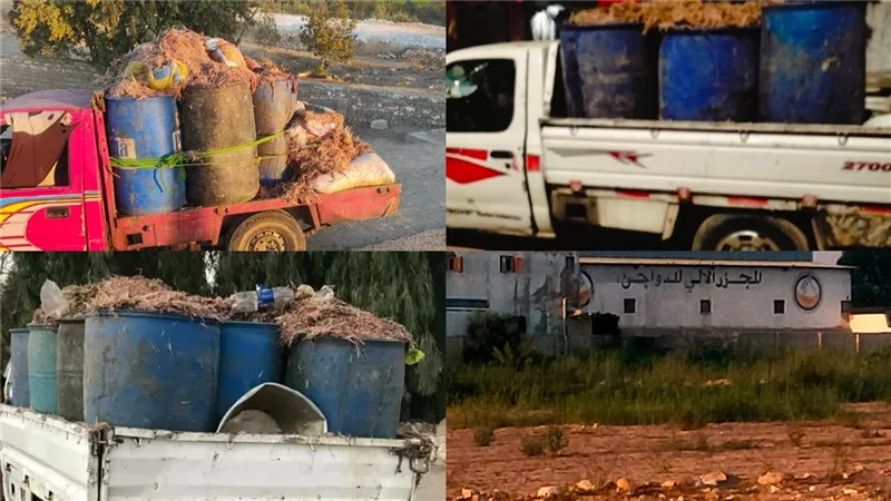 روائح كريهة وانبعاثات.. أهالى جزيرة ابو صالح ببنى سويف يستغيثون بسبب الكوكر