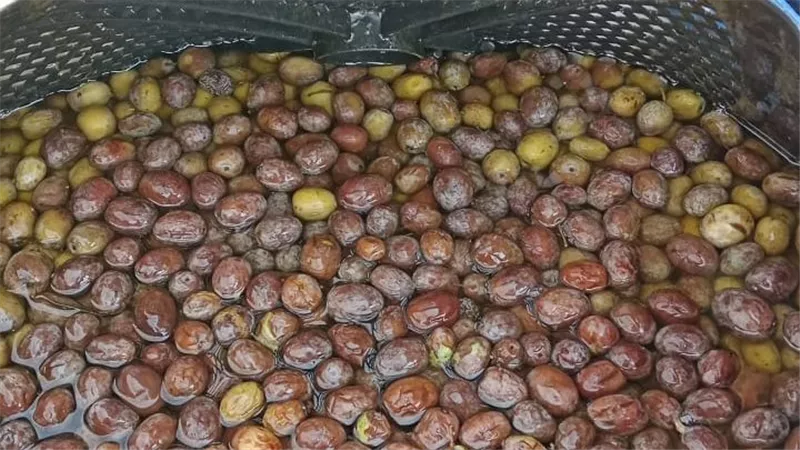 تموين الإسماعيلية يضبط 30 طن مخللات زيتون و350 كيلو سكر بدون بيانات وفواتير