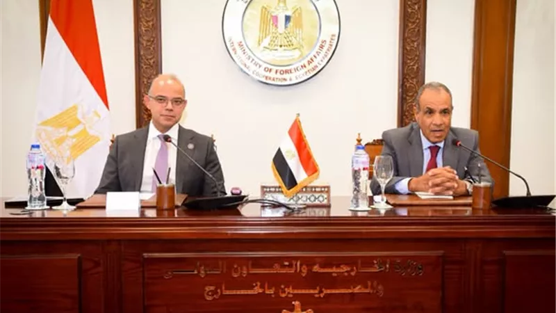 تنسيق مصري لتعزيز الاستثمارات الخارجية.. ماذا ناقش وزيرا الخارجية والاستثمار؟