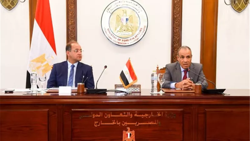 وزير الخارجية يستقبل وزير المالية ويبحثان مع السفراء دعم الاقتصاد المصري