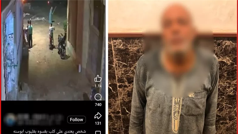 عقر زوجته.. خفير ينهال بالضرب على كلب والداخلية تكشف تفاصيل الواقعة