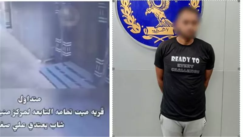 القبض على عامل لاتهامه بالاعتداء على طفل وإلقائه أرضًا بالدقهلية