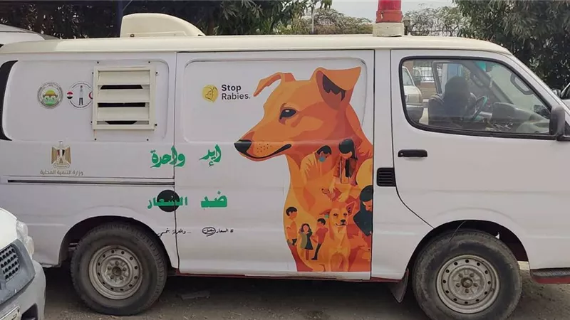 من الفحص إلى التعقيم ثم الإطلاق.. كيف تعمل منظومة الكلاب الحرة في السويس؟
