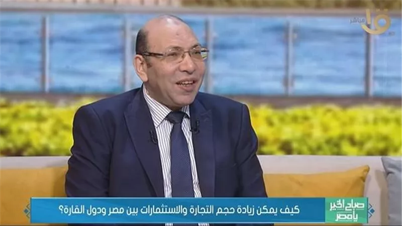 خبير في الشؤون الإفريقية: التنمية المدخل الحقيقي لمواجهة أزمات القارة