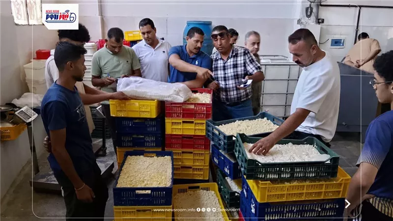 ضبط مصنع جبنة موتزاريلا بالفيوم والتحفظ على مواد كيميائية وحشرات داخله 