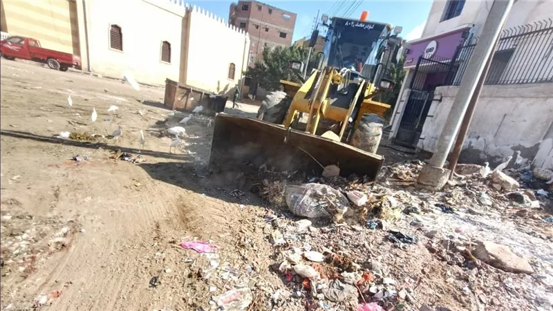 حملة مكبرة لرفع كفاءة النظافة بقرية إبشان في كفر الشيخ| صور