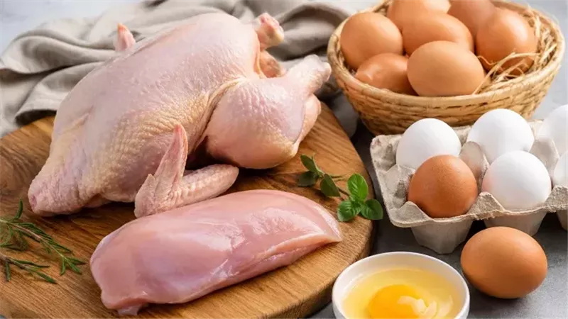 أيهما الأنسب لنظامك الغذائي؟... الدجاج والبيض خياران غنيان بالبروتين  
