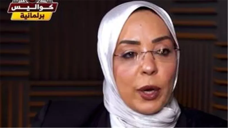 النائبة وفاء رشاد: «المرأة تقدر تقفل ملف الثأر في مصر»