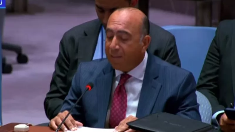 مندوب مصر بمجلس الأمن: يجب وضع حد لتهريب الأسلحة والمرتزقة إلى السودان 